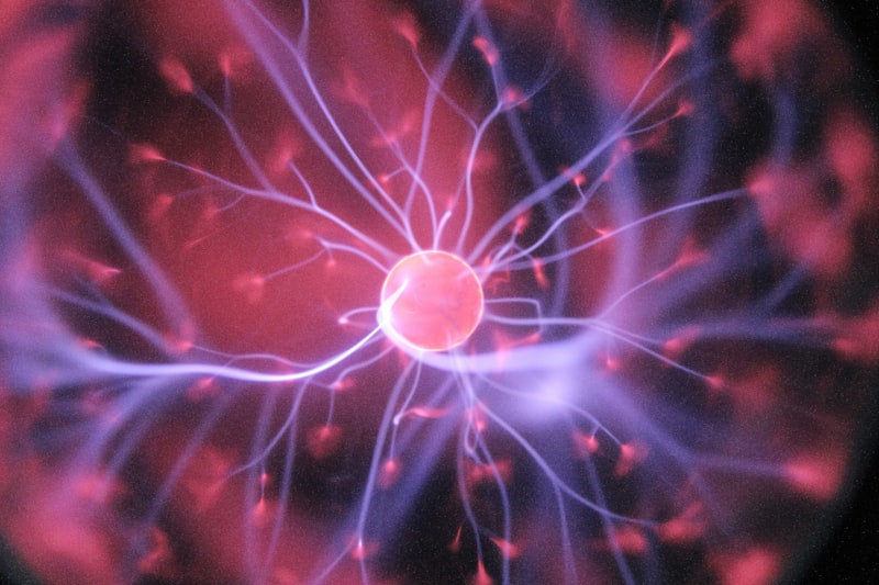 15 Facts About Memory and Why You Cannot Trust Yours