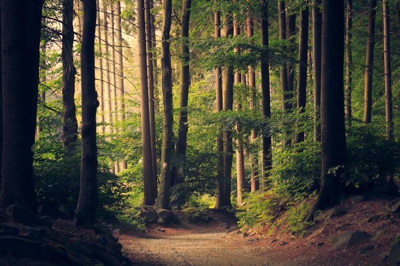 28 Facts About Nature That Break Expectations