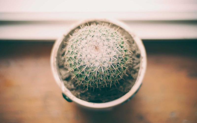 10 Facts About the History of Medicine