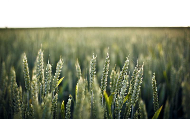 10 Facts About Mathematics Hidden in Nature